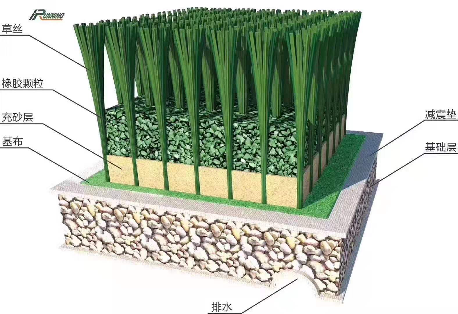 跑道草坪 (1)